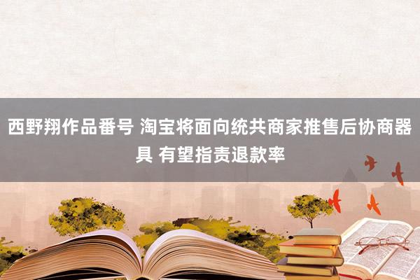 西野翔作品番号 淘宝将面向统共商家推售后协商器具 有望指责退款率