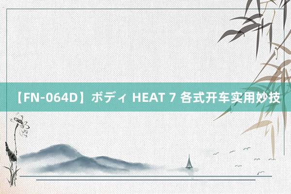 【FN-064D】ボディ HEAT 7 各式开车实用妙技