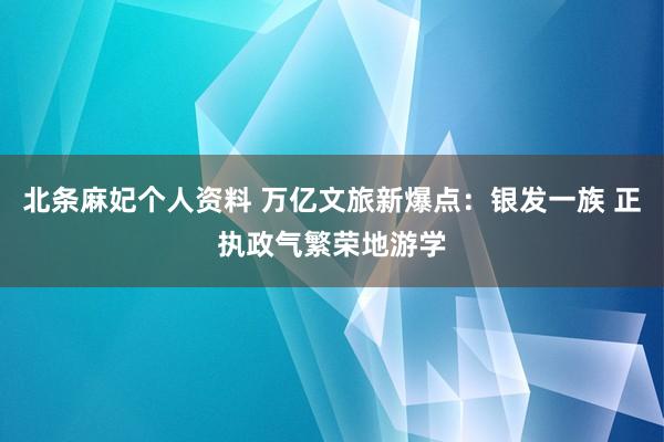 北条麻妃个人资料 万亿文旅新爆点：银发一族 正执政气繁荣地游学