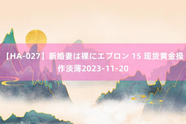 【HA-027】新婚妻は裸にエプロン 15 现货黄金操作淡薄2023-11-20