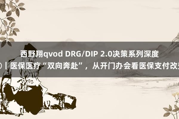 西野翔qvod DRG/DIP 2.0决策系列深度①｜医保医疗“双向奔赴”，从开门办会看医保支付改变