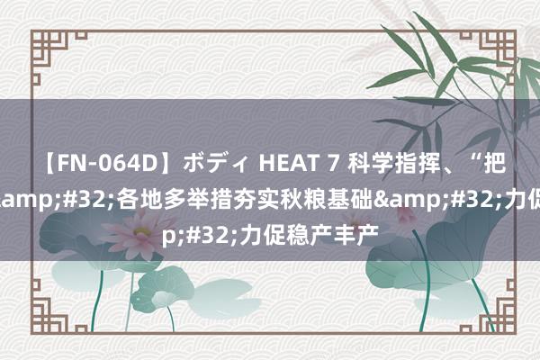 【FN-064D】ボディ HEAT 7 科学指挥、“把脉问诊”&#32;各地多举措夯实秋粮基础&#32;力促稳产丰产