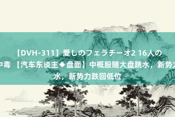 【DVH-311】愛しのフェラチーオ2 16人のザーメン中毒 【汽车东谈主◆盘面】中概股随大盘跳水，新势力跌回低位