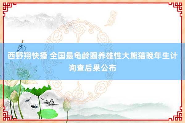 西野翔快播 全国最龟龄圈养雄性大熊猫晚年生计询查后果公布