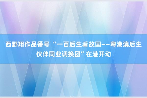 西野翔作品番号 “一百后生看故国——粤港澳后生伙伴同业调换团”在港开动