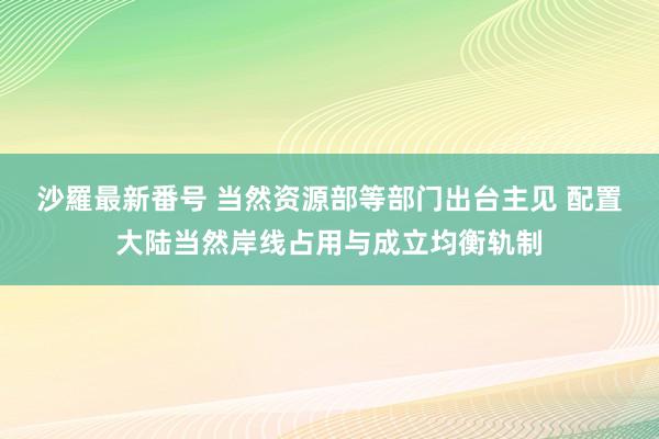 沙羅最新番号 当然资源部等部门出台主见 配置大陆当然岸线占用与成立均衡轨制