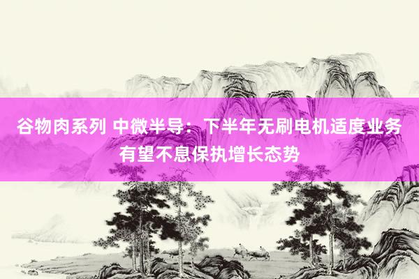 谷物肉系列 中微半导：下半年无刷电机适度业务有望不息保执增长态势