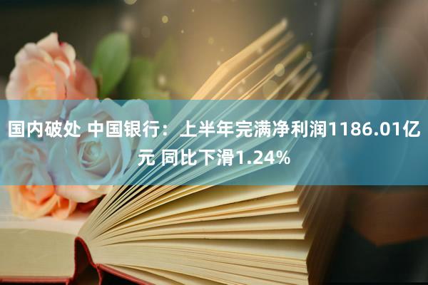 国内破处 中国银行：上半年完满净利润1186.01亿元 同比下滑1.24%