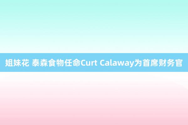 姐妹花 泰森食物任命Curt Calaway为首席财务官