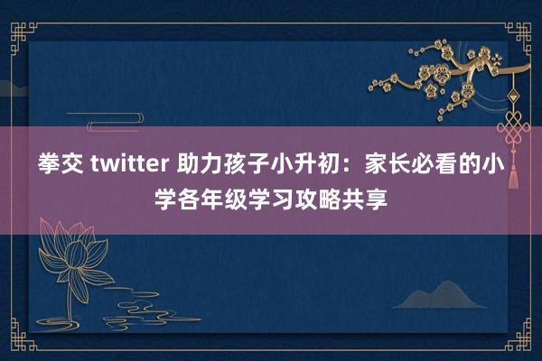 拳交 twitter 助力孩子小升初：家长必看的小学各年级学习攻略共享