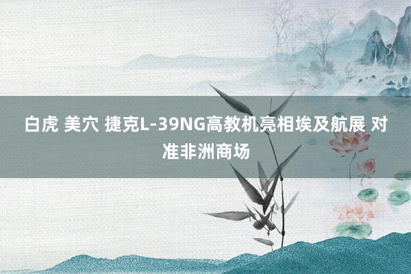 白虎 美穴 捷克L-39NG高教机亮相埃及航展 对准非洲商场