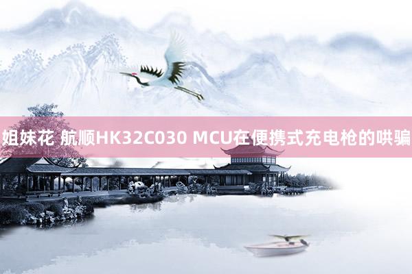 姐妹花 航顺HK32C030 MCU在便携式充电枪的哄骗