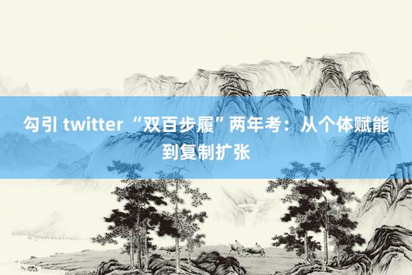 勾引 twitter “双百步履”两年考：从个体赋能到复制扩张